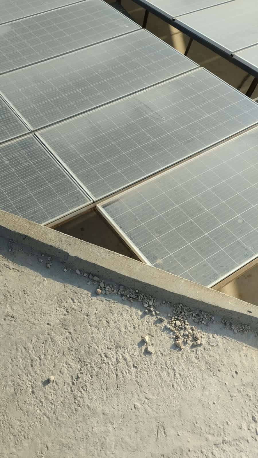 WhatsApp Image 2023-10-08 at 20.16.52_6783ea98