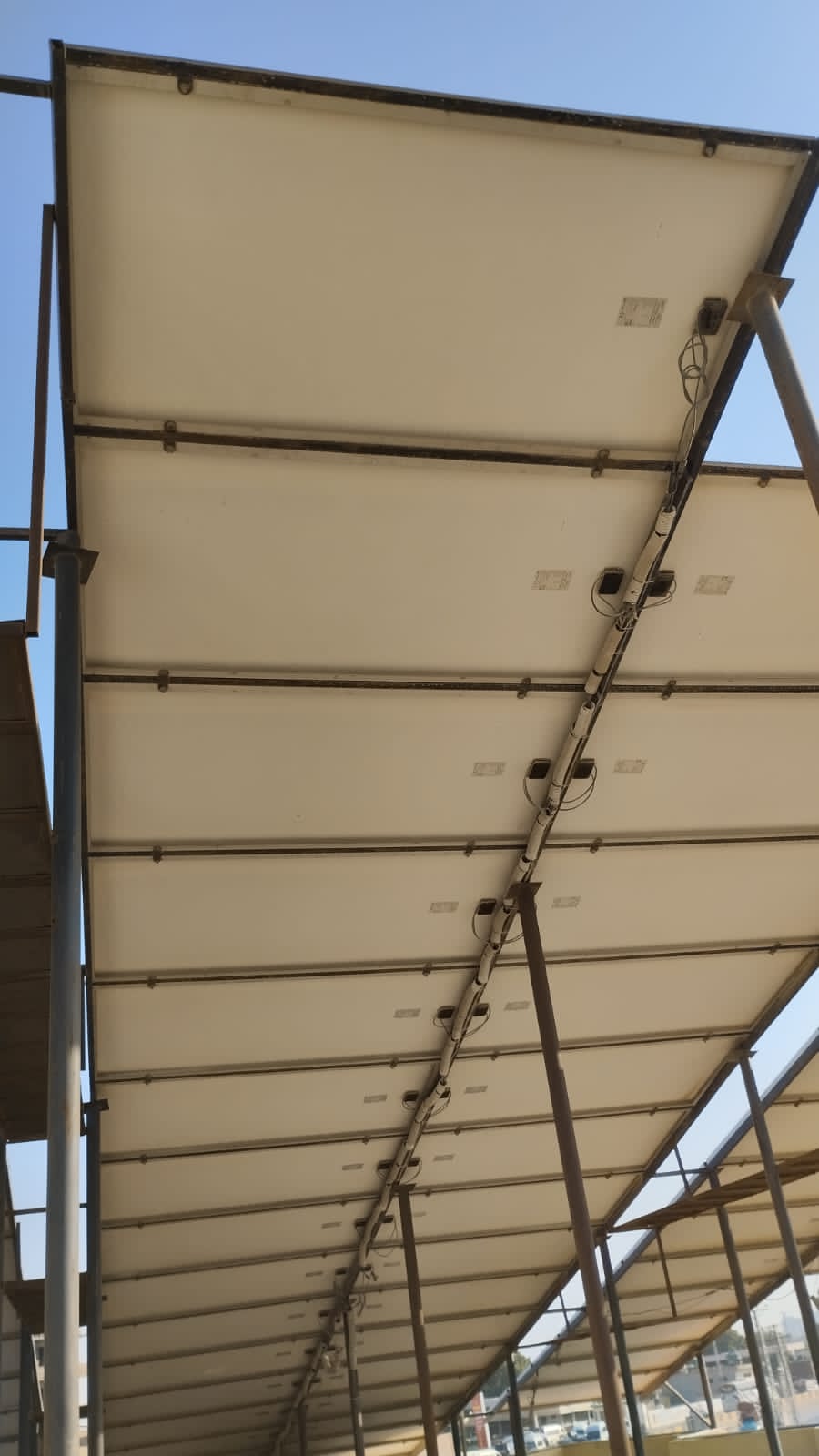 WhatsApp Image 2023-10-08 at 20.16.54_19c01cef